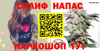 Альфа ПВП Кимры
