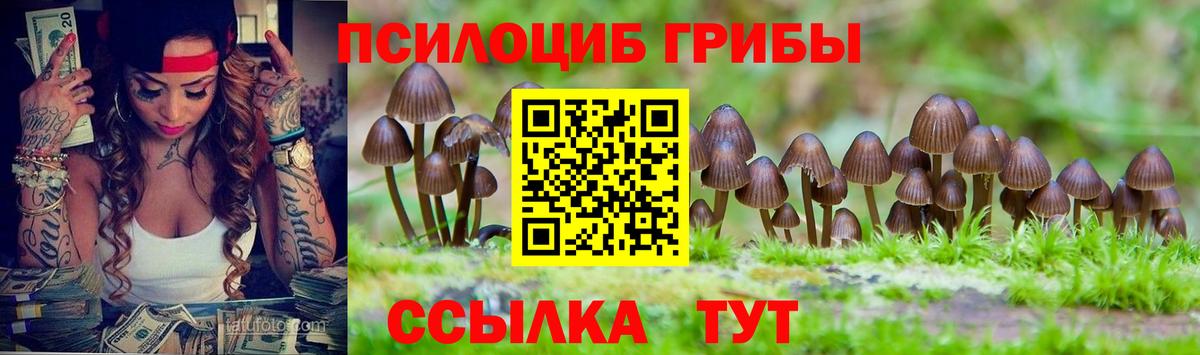 Галлюциногенные грибы мицелий  Вход с VPN  Псилоцибиновые грибы прущие грибы  Коряжма 